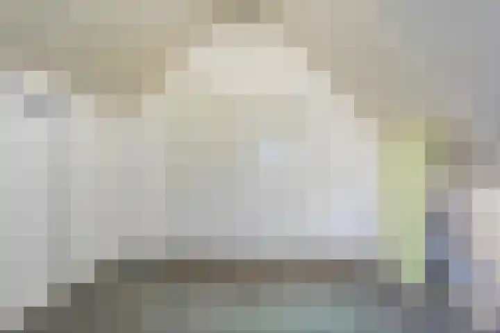 Fluitekruid 16 Hardenberg thumbnail 47