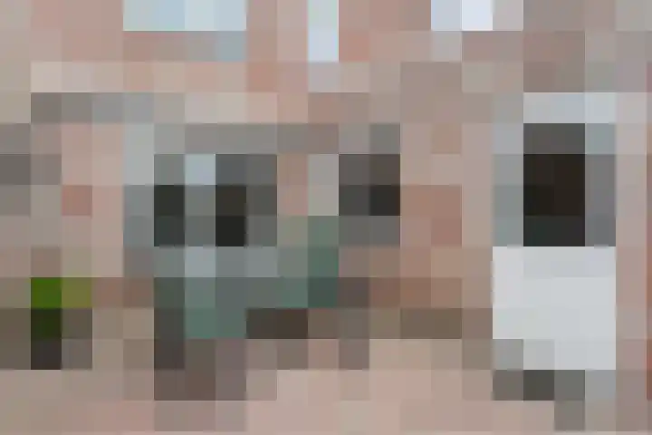 Fluitekruid 16 Hardenberg thumbnail 48
