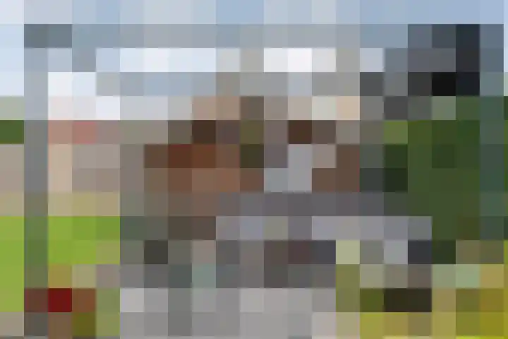 Fluitekruid 16 Hardenberg thumbnail 50