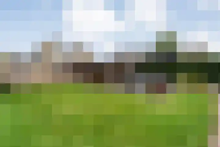Fluitekruid 16 Hardenberg thumbnail 52