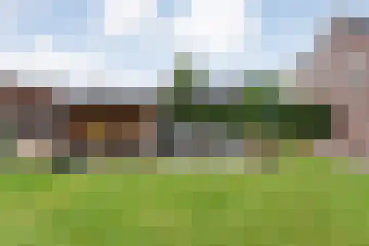Fluitekruid 16 Hardenberg thumbnail 54