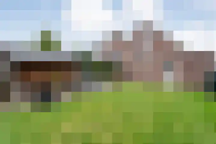 Fluitekruid 16 Hardenberg thumbnail 55
