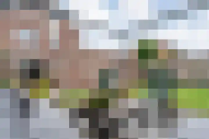 Fluitekruid 16 Hardenberg thumbnail 57