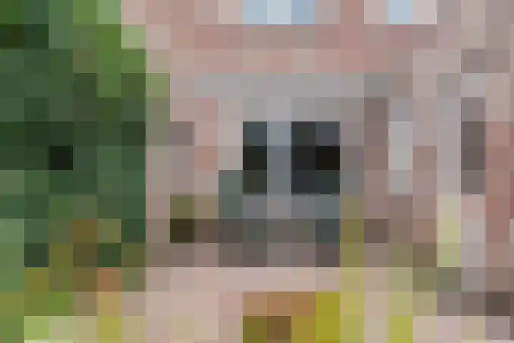 Fluitekruid 16 Hardenberg thumbnail 58