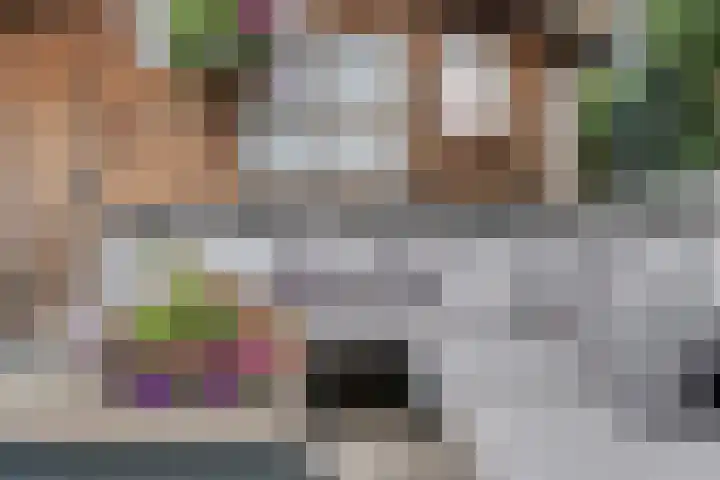 Fluitekruid 16 Hardenberg thumbnail 59