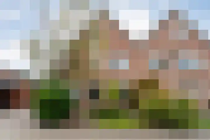 Fluitekruid 16 Hardenberg thumbnail 6