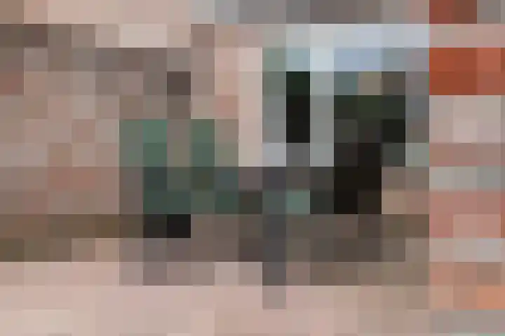 Fluitekruid 16 Hardenberg thumbnail 60