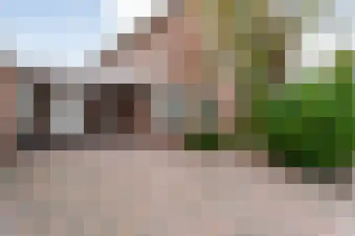 Fluitekruid 16 Hardenberg thumbnail 8
