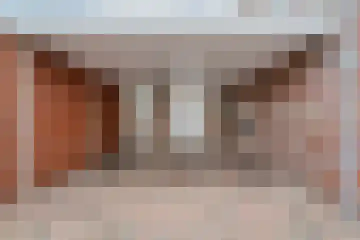 Fluitekruid 16 Hardenberg thumbnail 9