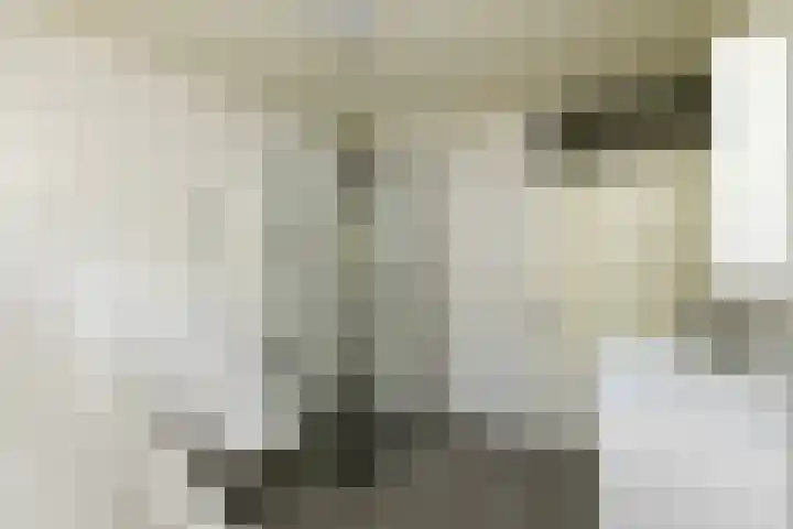 Fluitekruid 17 Zeewolde thumbnail 13