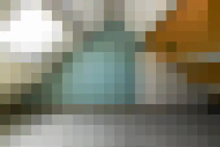 Fluitekruid 17 Zeewolde thumbnail 15