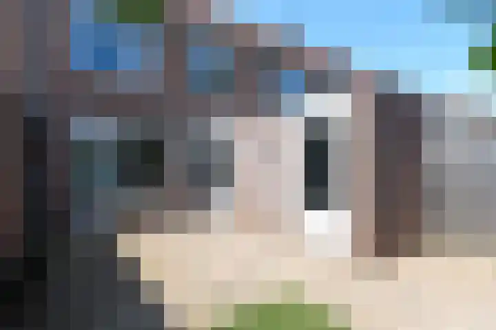 Fluitekruid 17 Zeewolde thumbnail 18