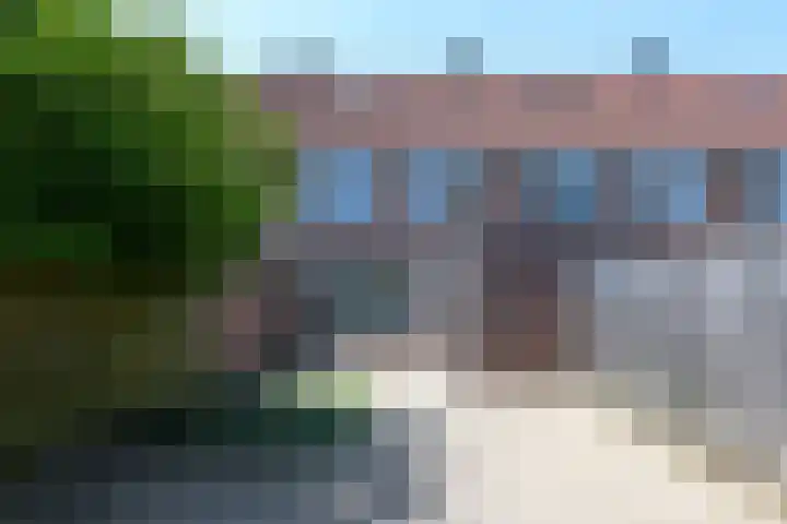 Fluitekruid 17 Zeewolde thumbnail 19