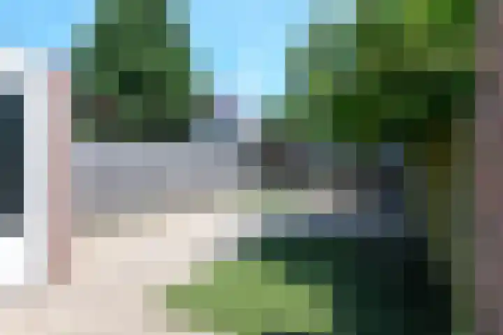 Fluitekruid 17 Zeewolde thumbnail 20