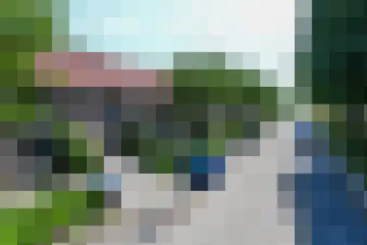 Fluitekruid 17 Zeewolde thumbnail 21