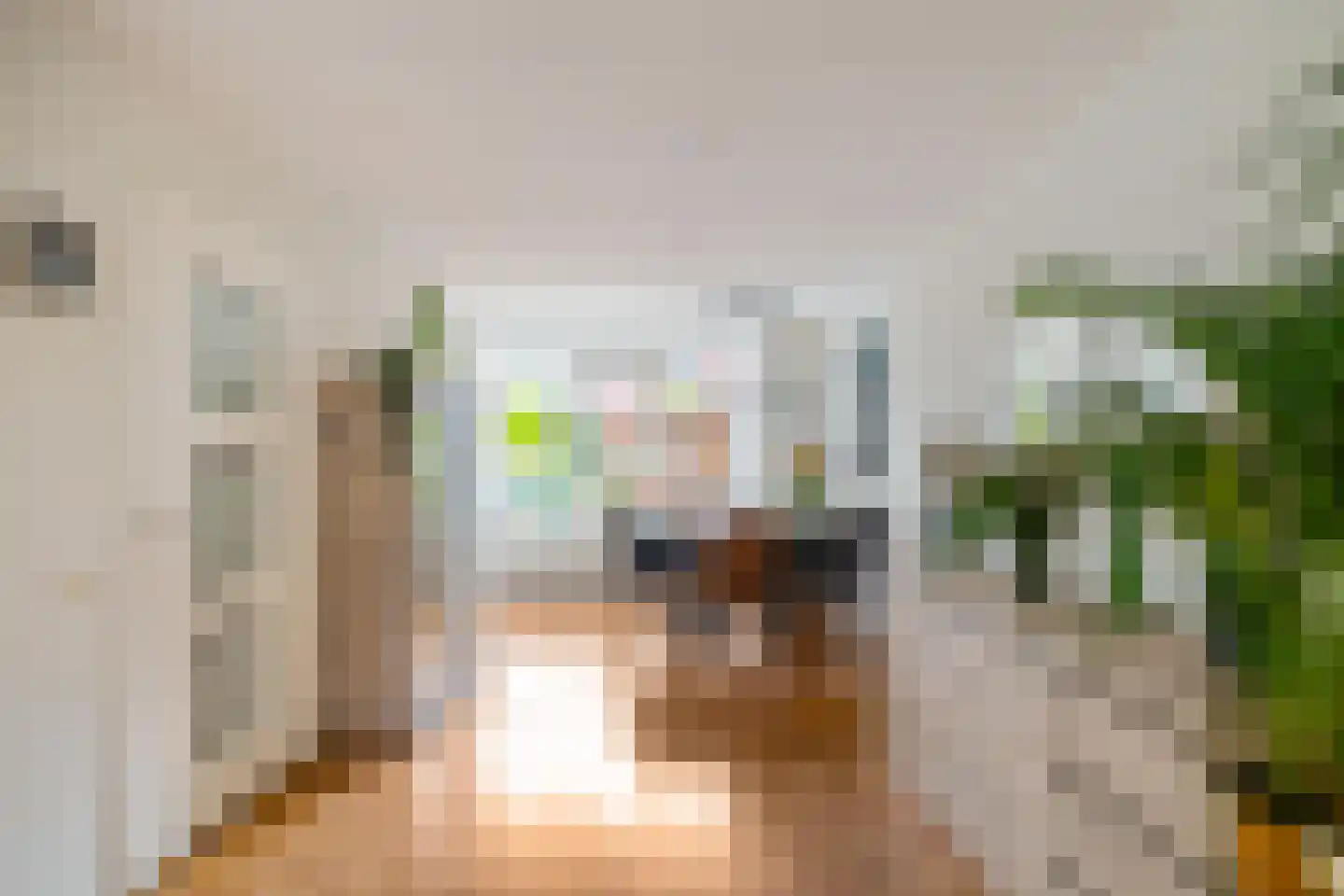 Fluitekruid 18 Eelde thumbnail 17