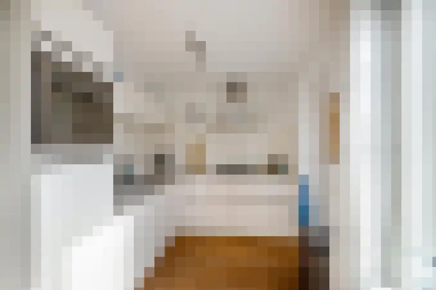 Fluitekruid 18 Eelde thumbnail 20