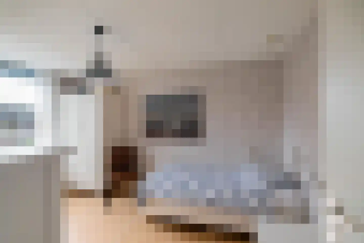 Fluitekruid 18 Eelde thumbnail 28