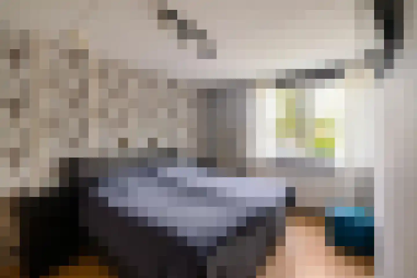 Fluitekruid 18 Eelde thumbnail 31