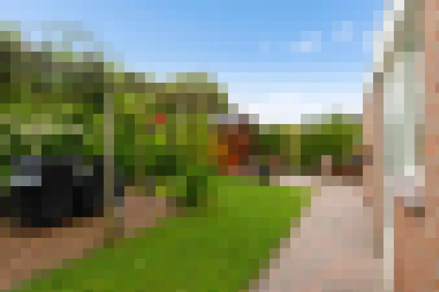 Fluitekruid 18 Eelde thumbnail 39