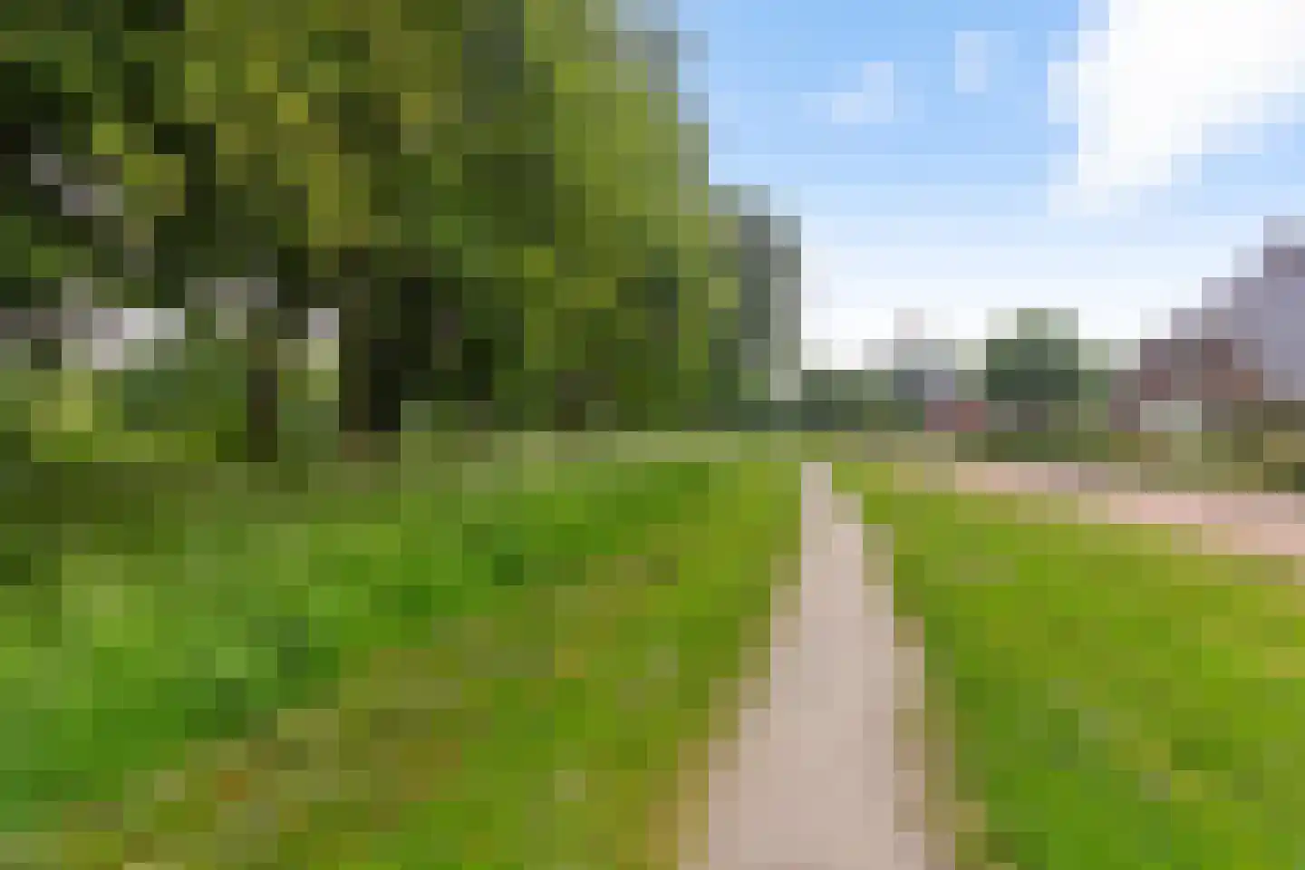 Fluitekruid 18 Eelde thumbnail 4