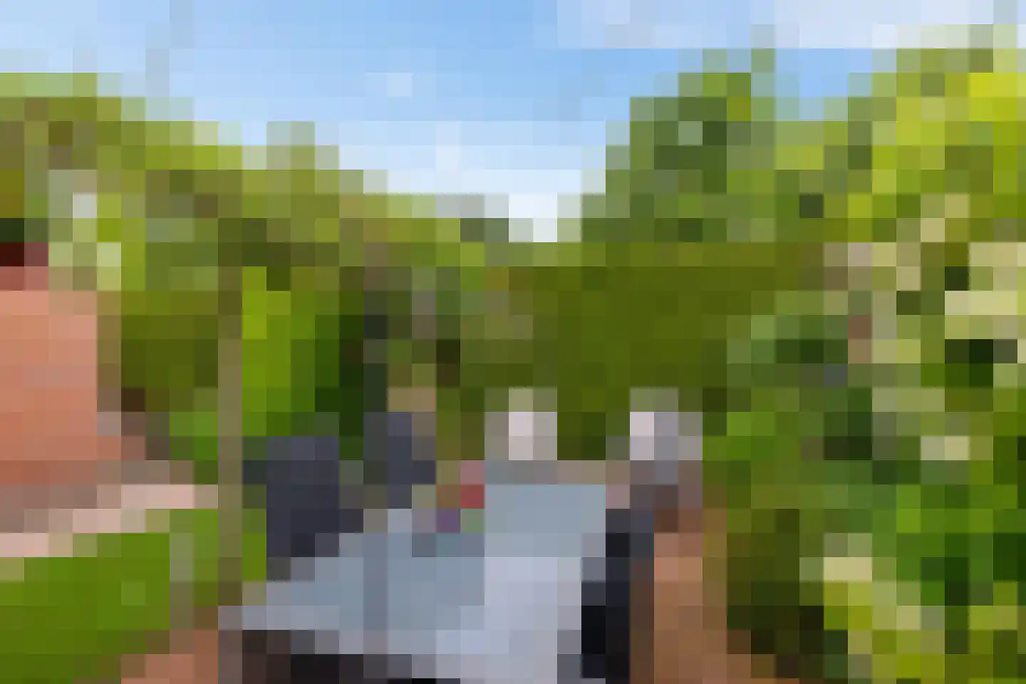 Fluitekruid 18 Eelde thumbnail 41