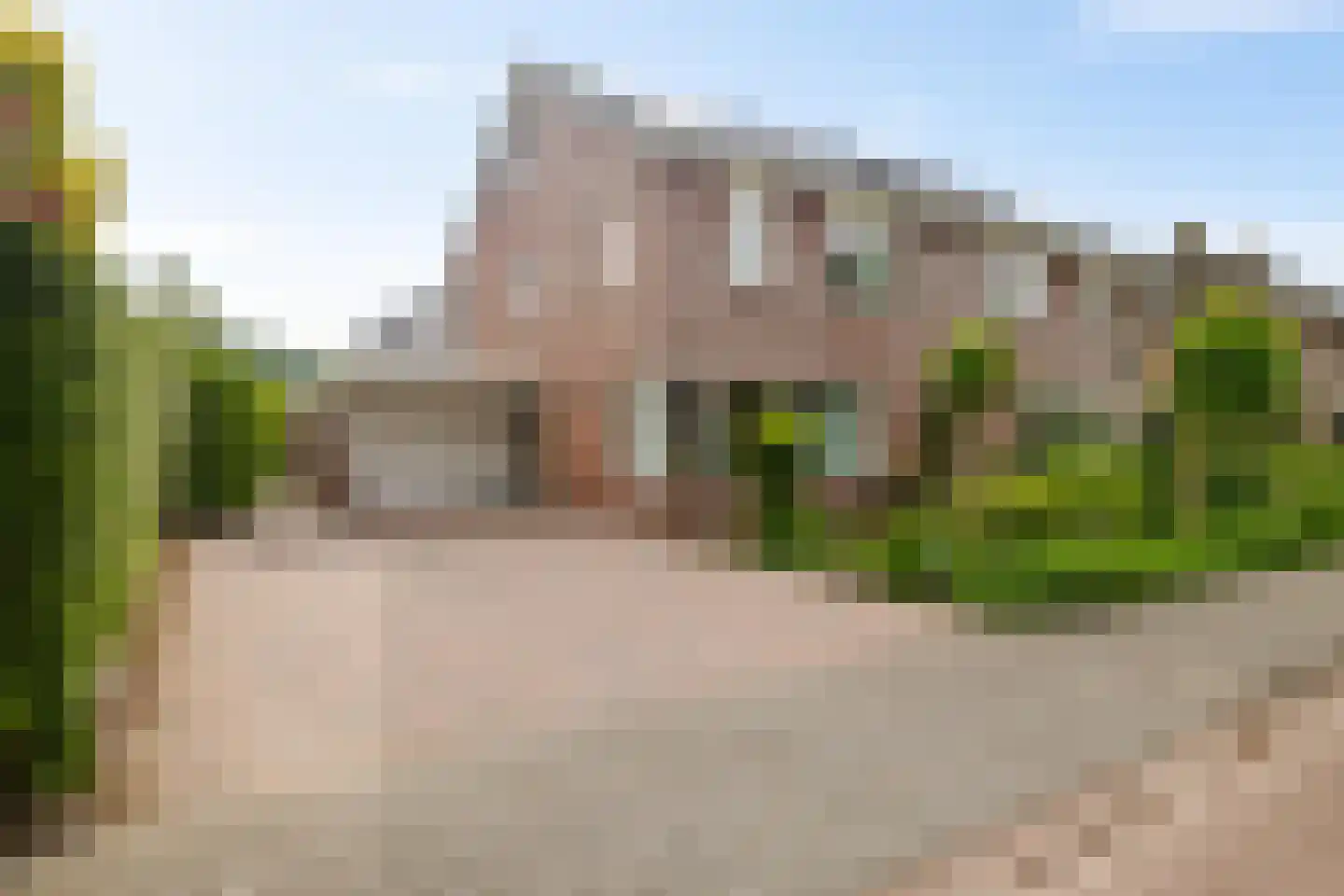 Fluitekruid 18 Eelde thumbnail 6