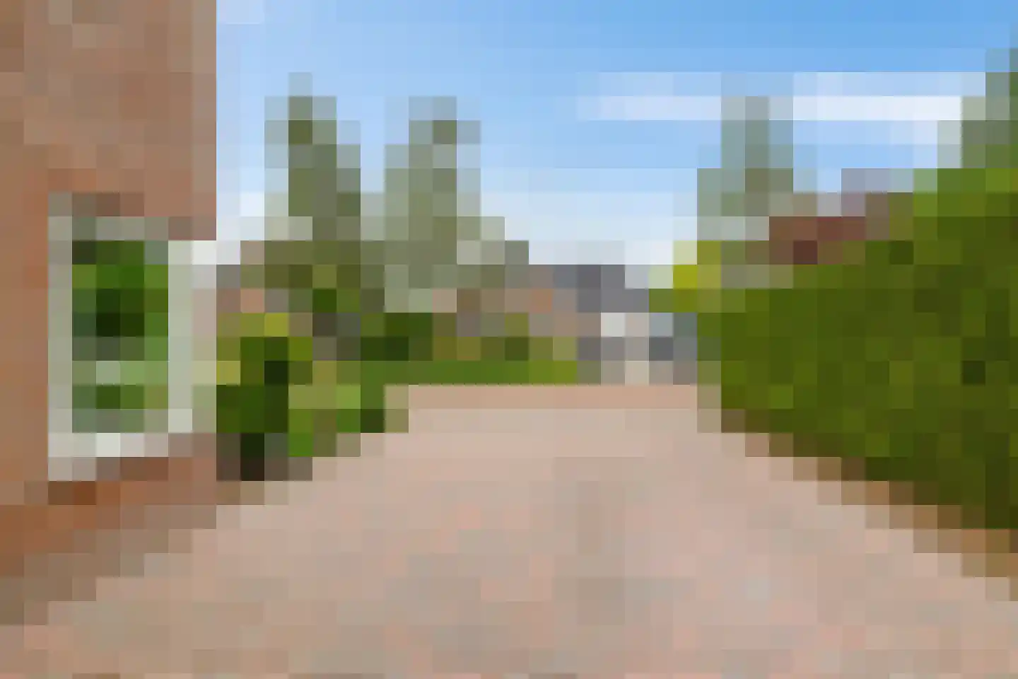 Fluitekruid 18 Eelde thumbnail 8