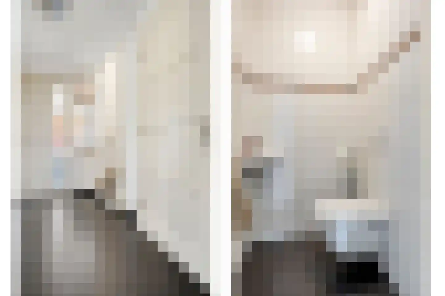 Fluitekruid 19 Rijssen thumbnail 11