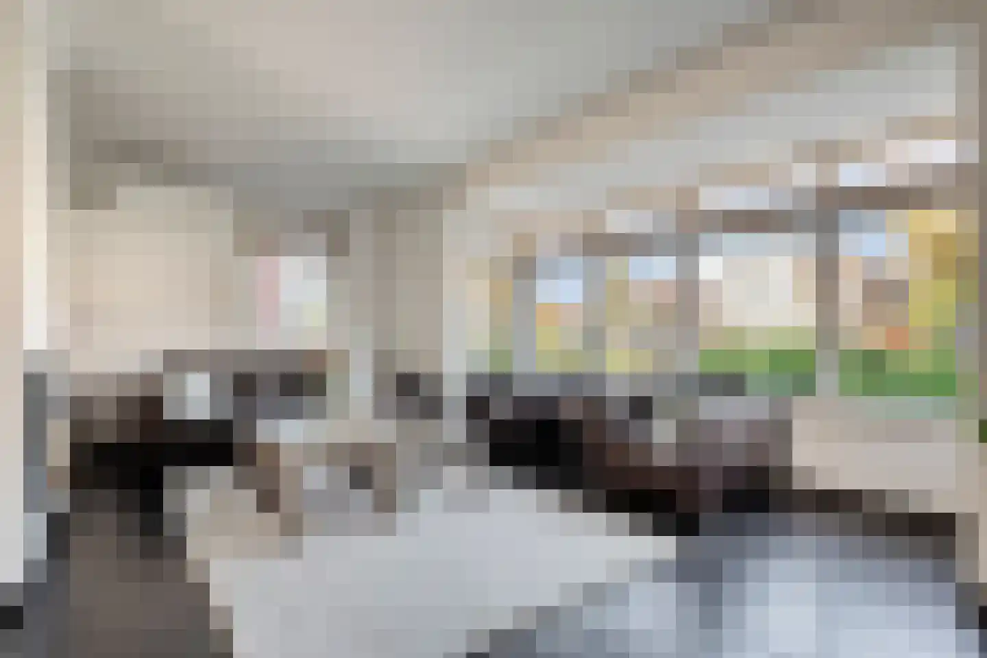 Fluitekruid 19 Rijssen thumbnail 14