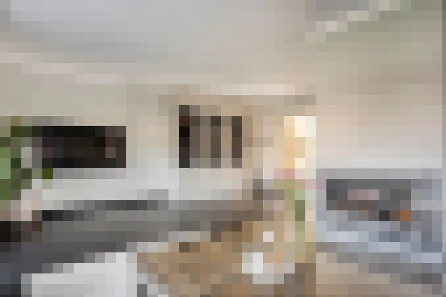 Fluitekruid 19 Rijssen thumbnail 16