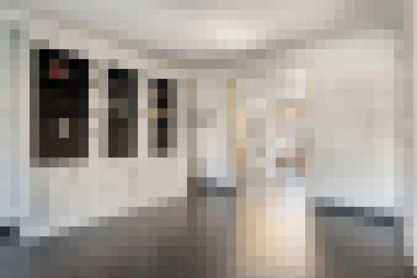 Fluitekruid 19 Rijssen thumbnail 17