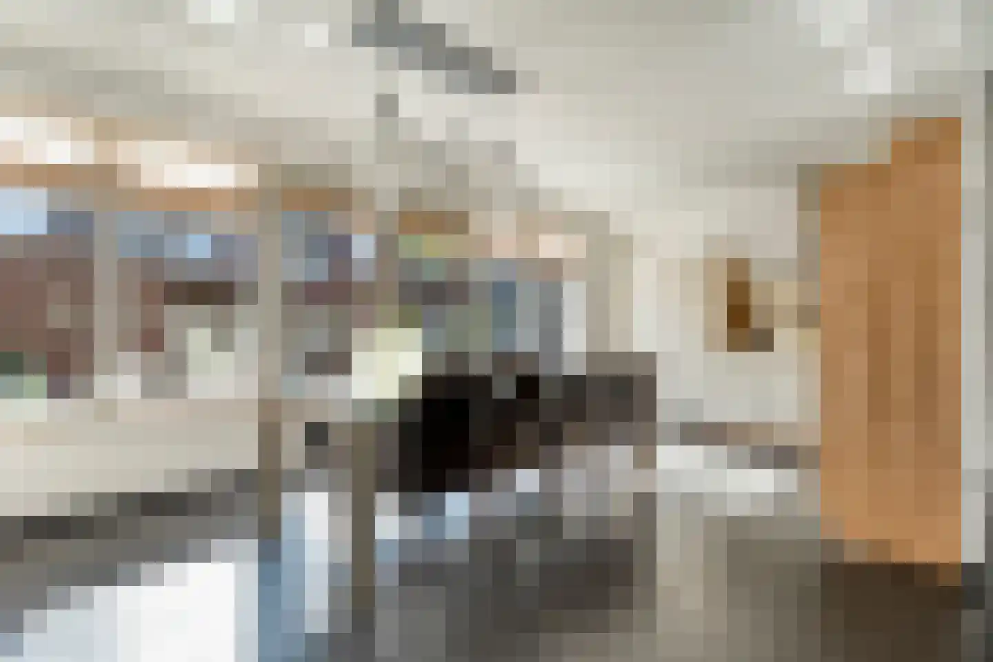 Fluitekruid 19 Rijssen thumbnail 19