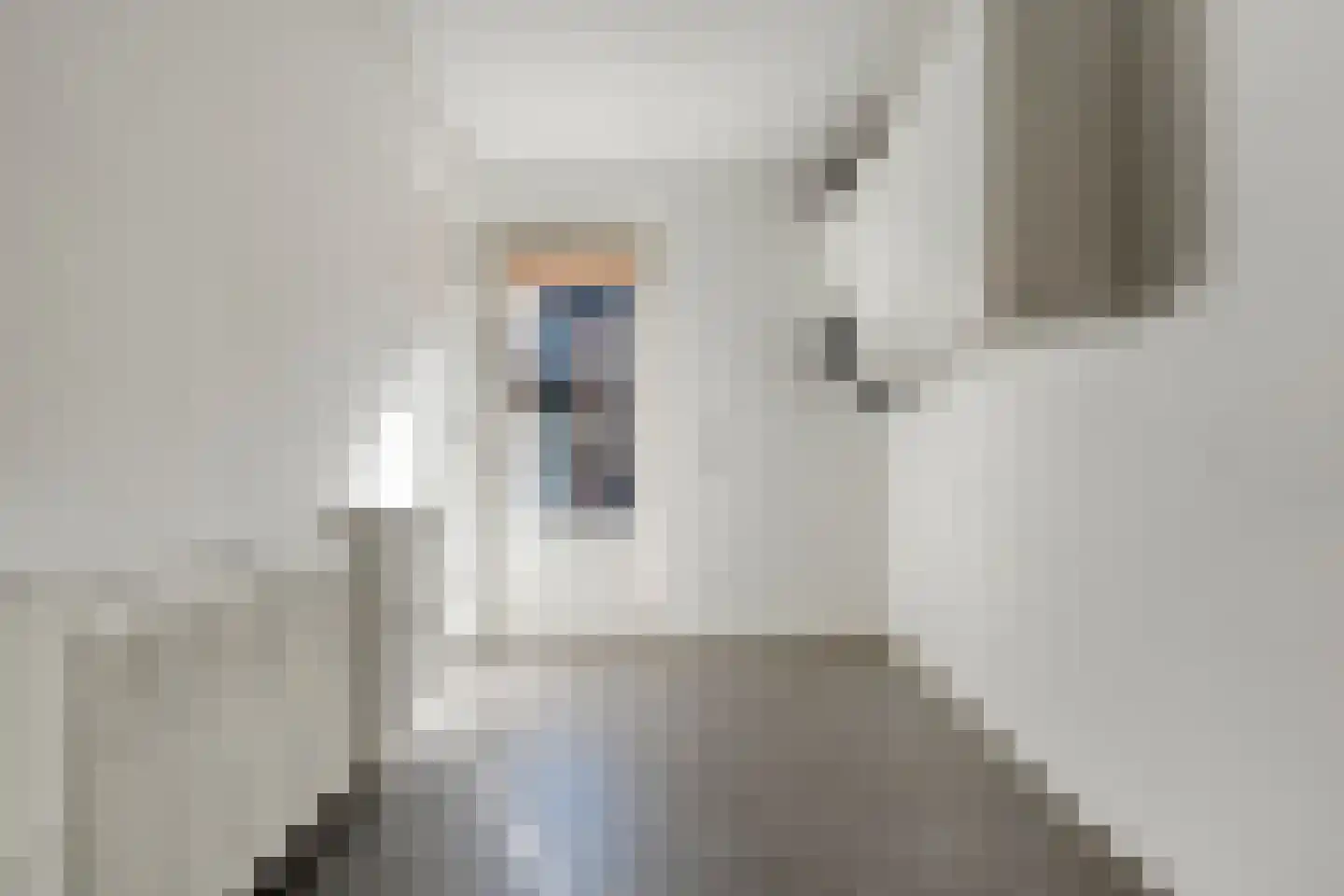 Fluitekruid 19 Rijssen thumbnail 26