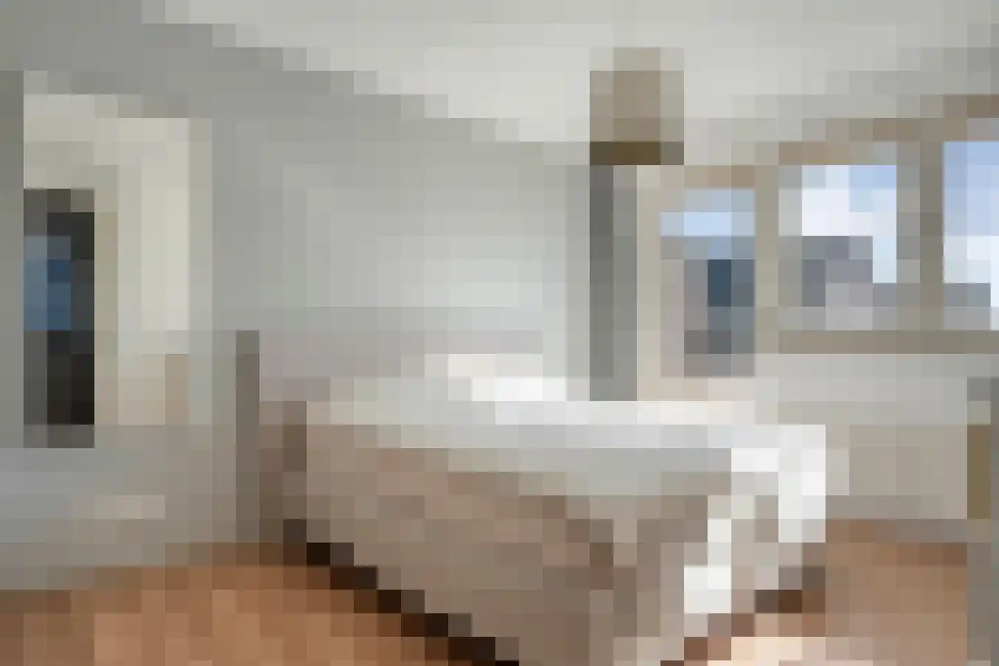 Fluitekruid 19 Rijssen thumbnail 30