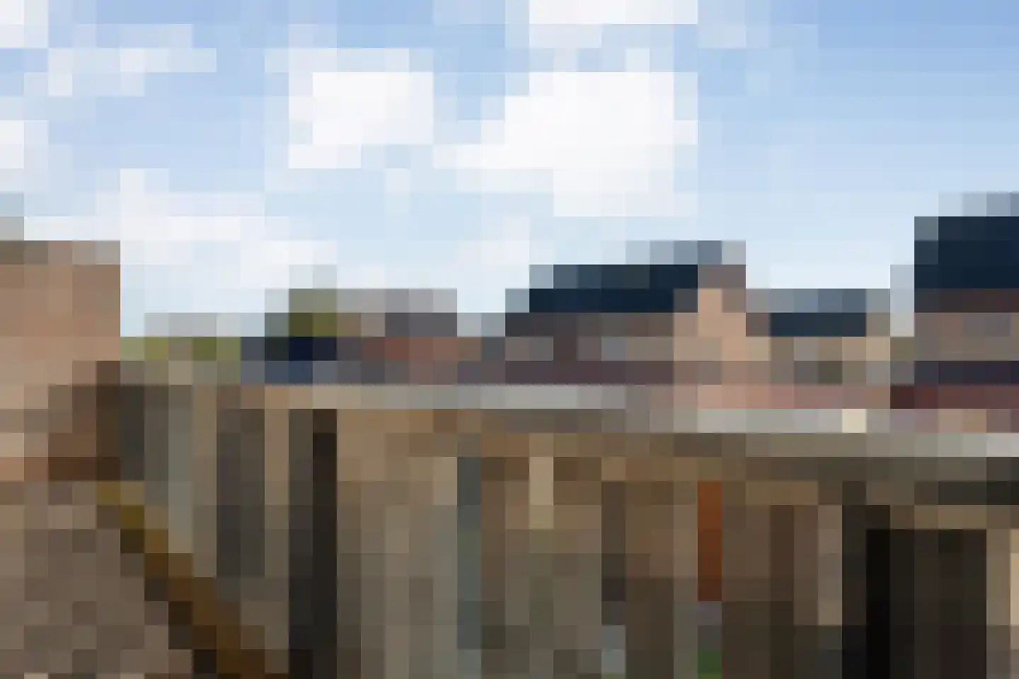 Fluitekruid 19 Rijssen thumbnail 33