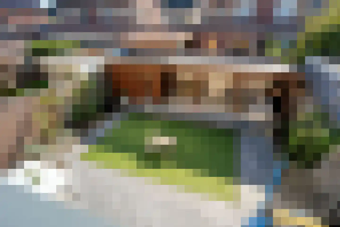 Fluitekruid 19 Rijssen thumbnail 35