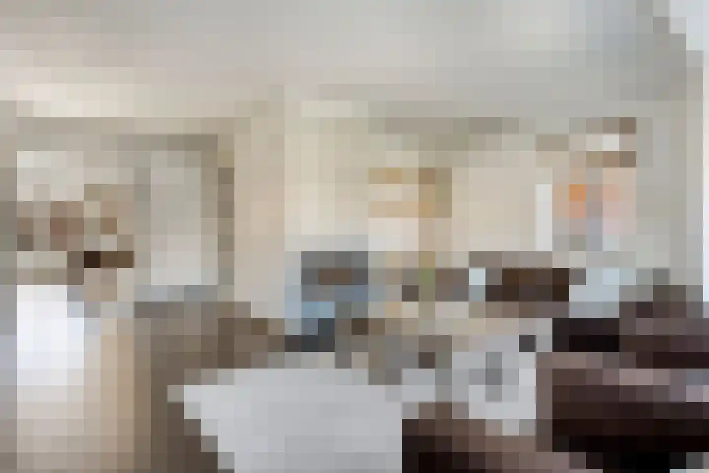Fluitekruid 19 Rijssen thumbnail 4