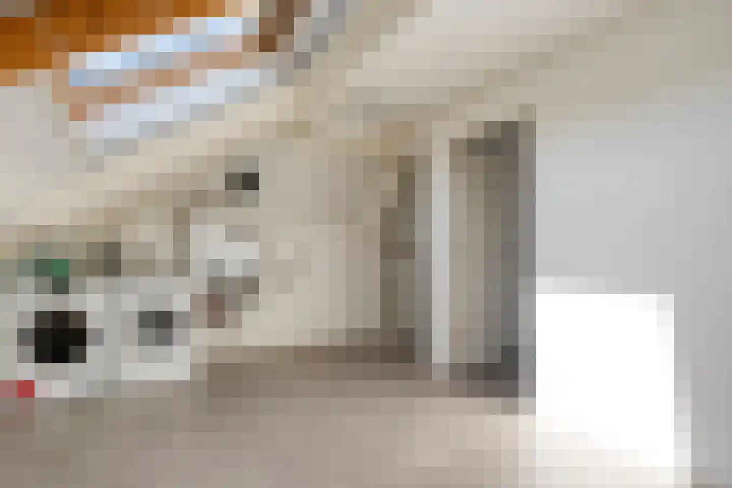 Fluitekruid 19 Rijssen thumbnail 42