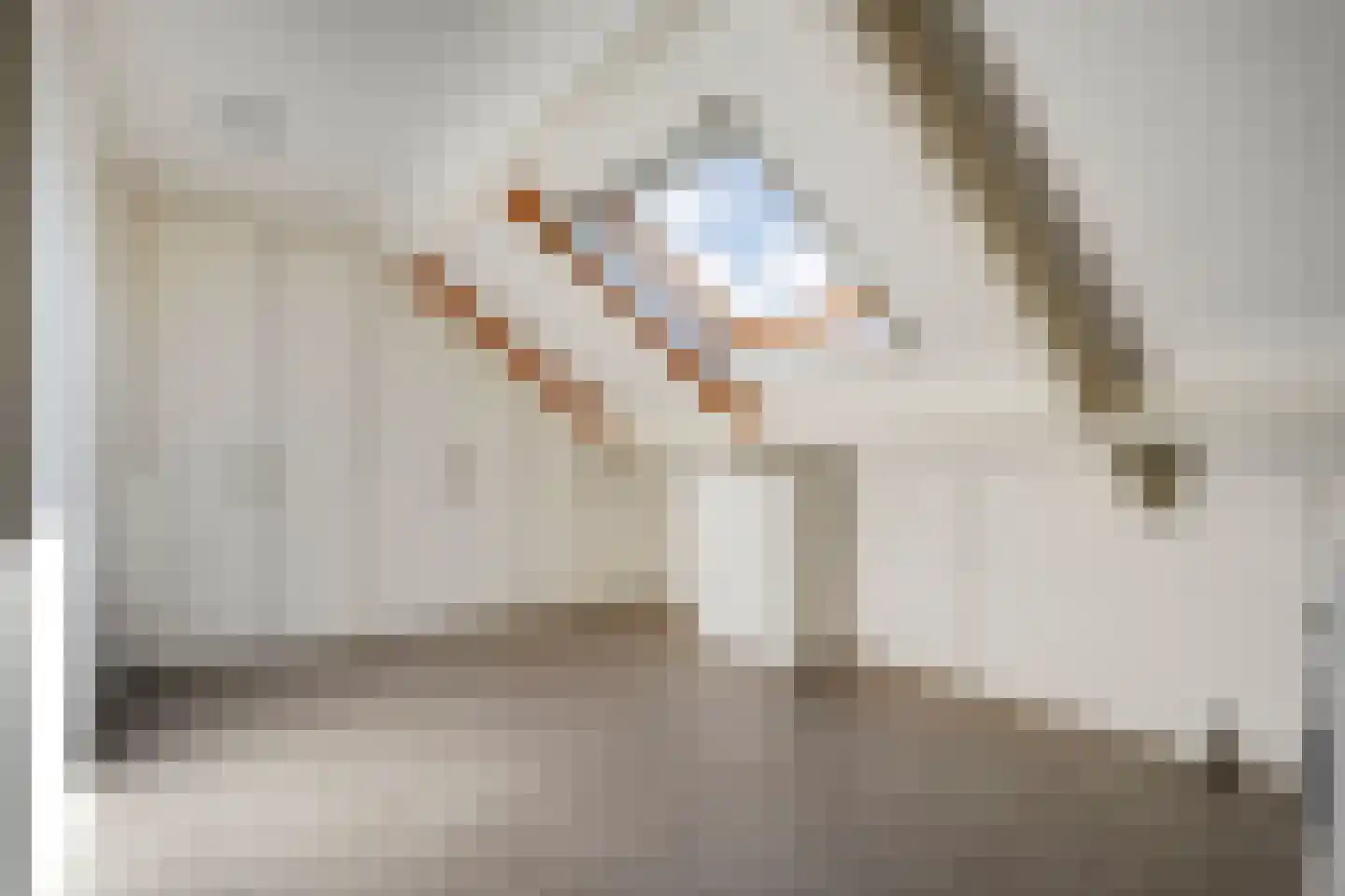 Fluitekruid 19 Rijssen thumbnail 43