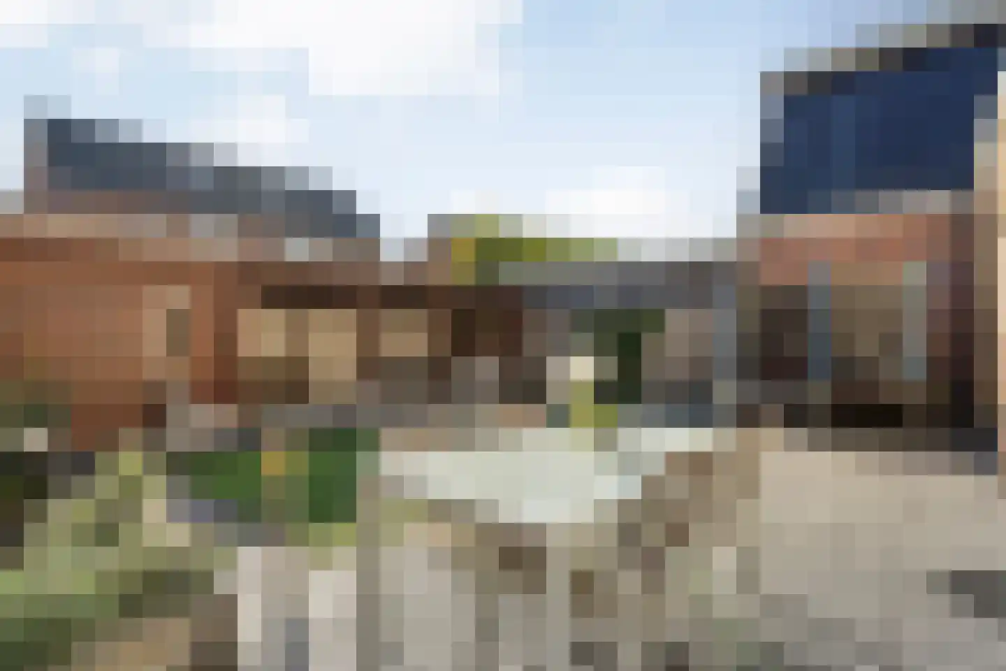 Fluitekruid 19 Rijssen thumbnail 46
