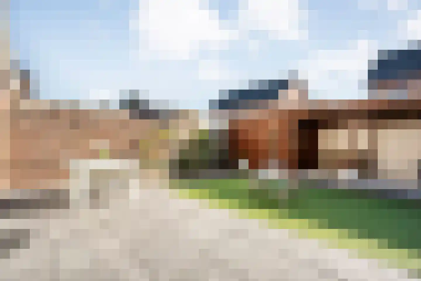 Fluitekruid 19 Rijssen thumbnail 48