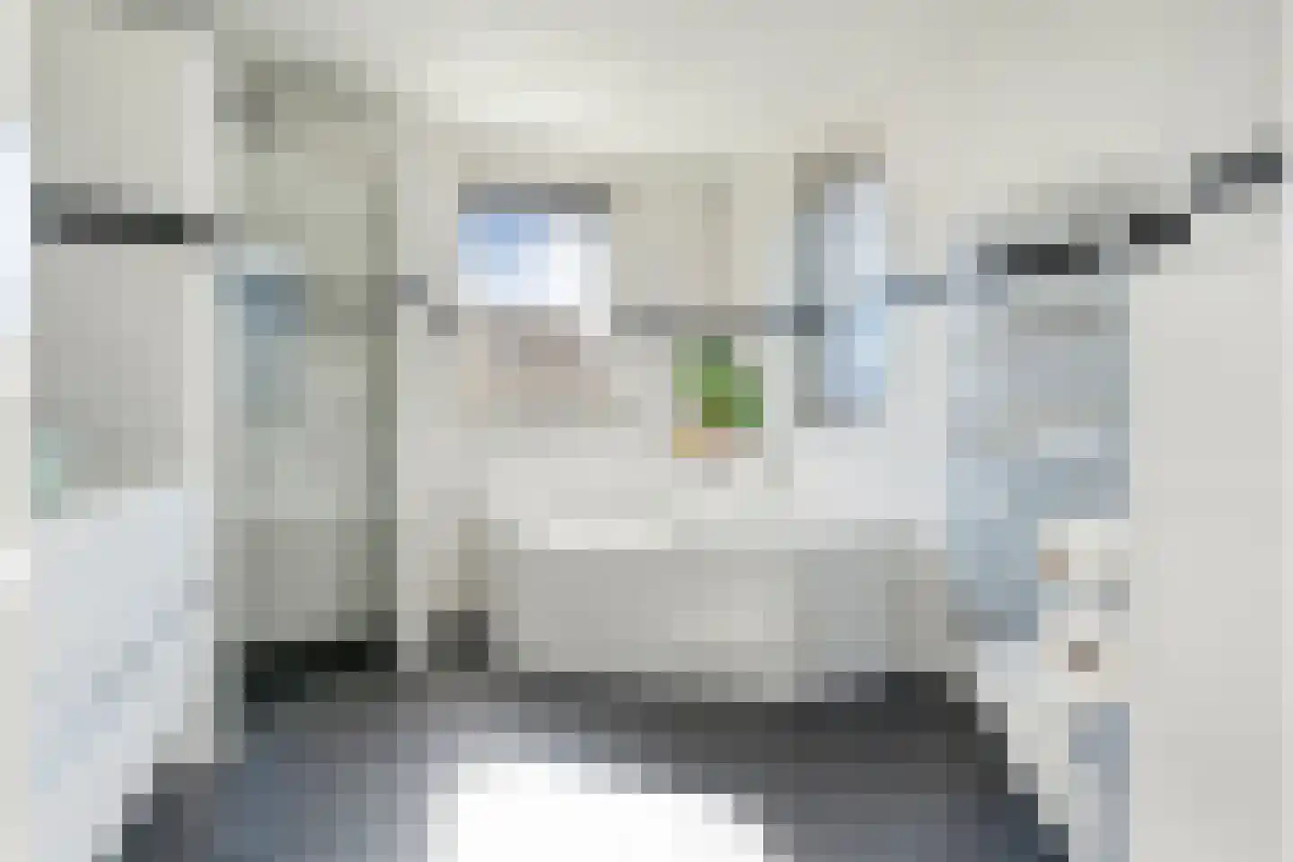Fluitekruid 19 Rijssen thumbnail 5