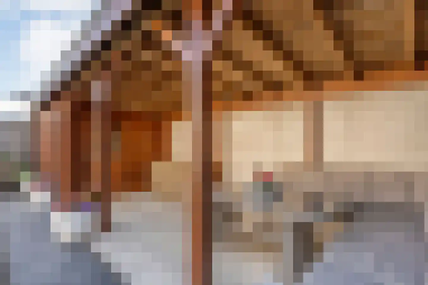 Fluitekruid 19 Rijssen thumbnail 50