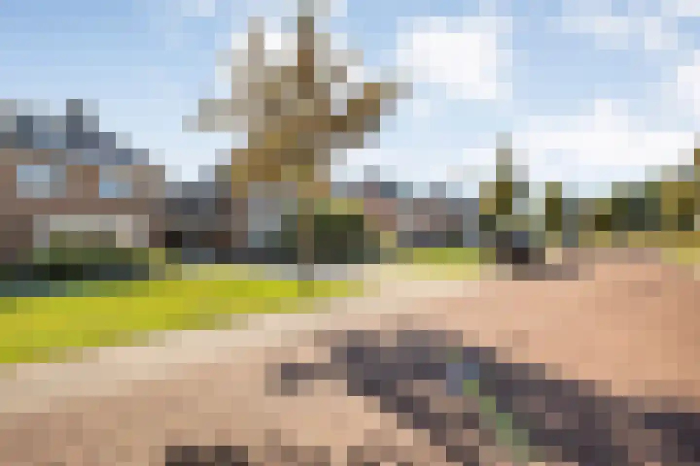 Fluitekruid 19 Rijssen thumbnail 6