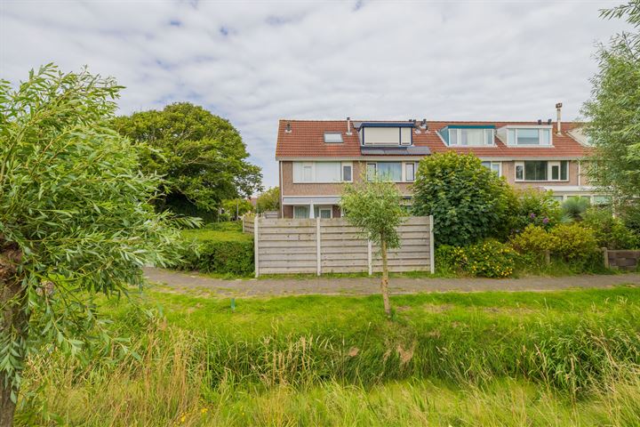 Fluitekruid 2 dans Noordwijk photo