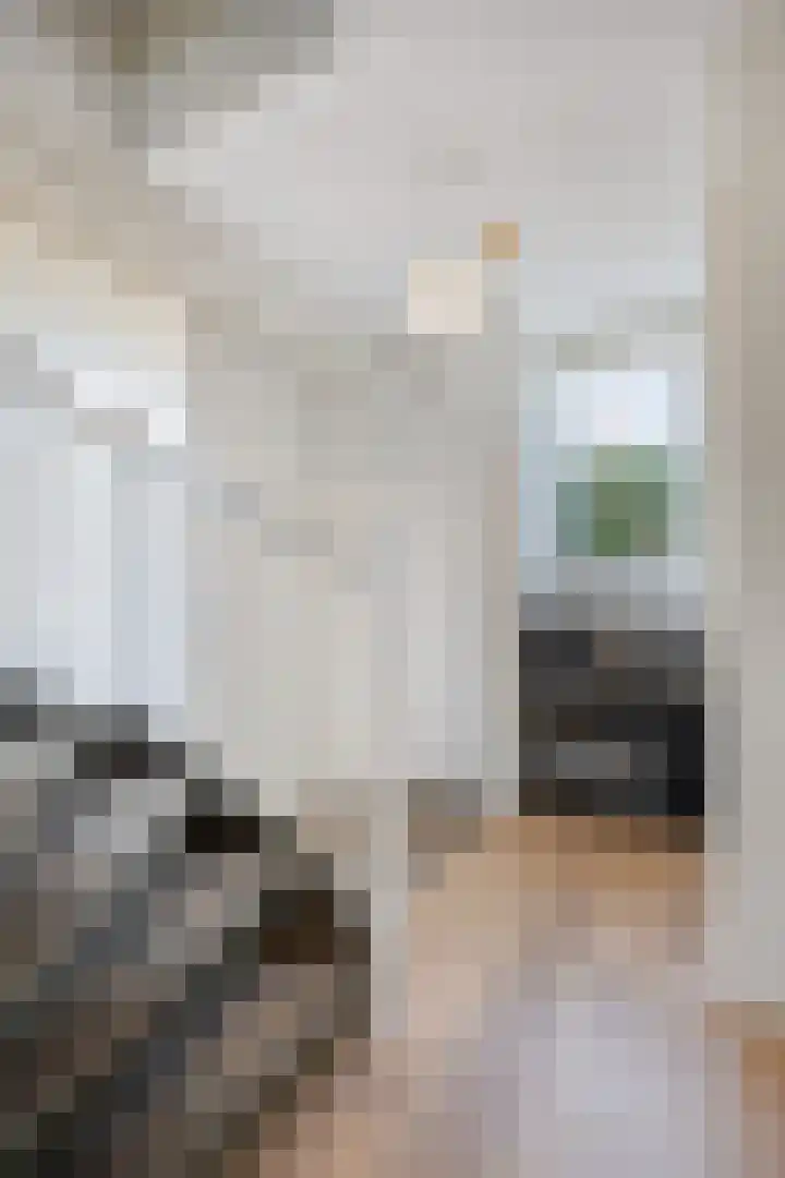 Fluitekruid 2 Kapelle thumbnail 11