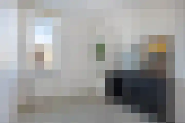Fluitekruid 2 Kapelle thumbnail 13