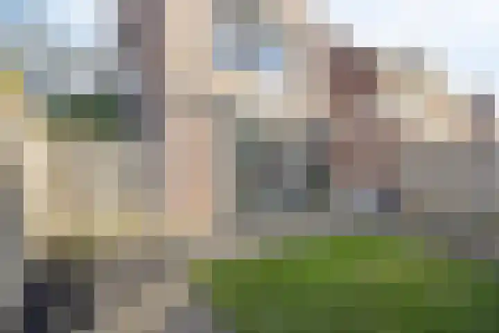 Fluitekruid 2 Kapelle thumbnail 23