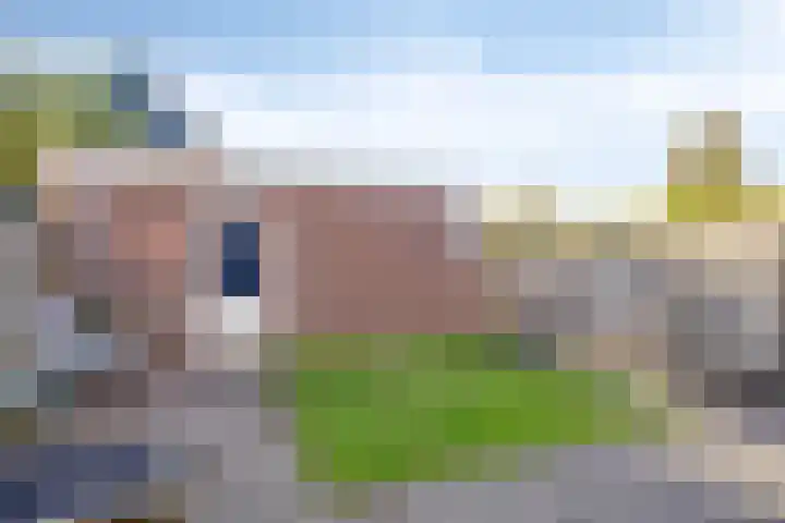 Fluitekruid 2 Kapelle thumbnail 24